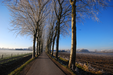 900065 Gezicht op de Marsdijk te Bunnik.